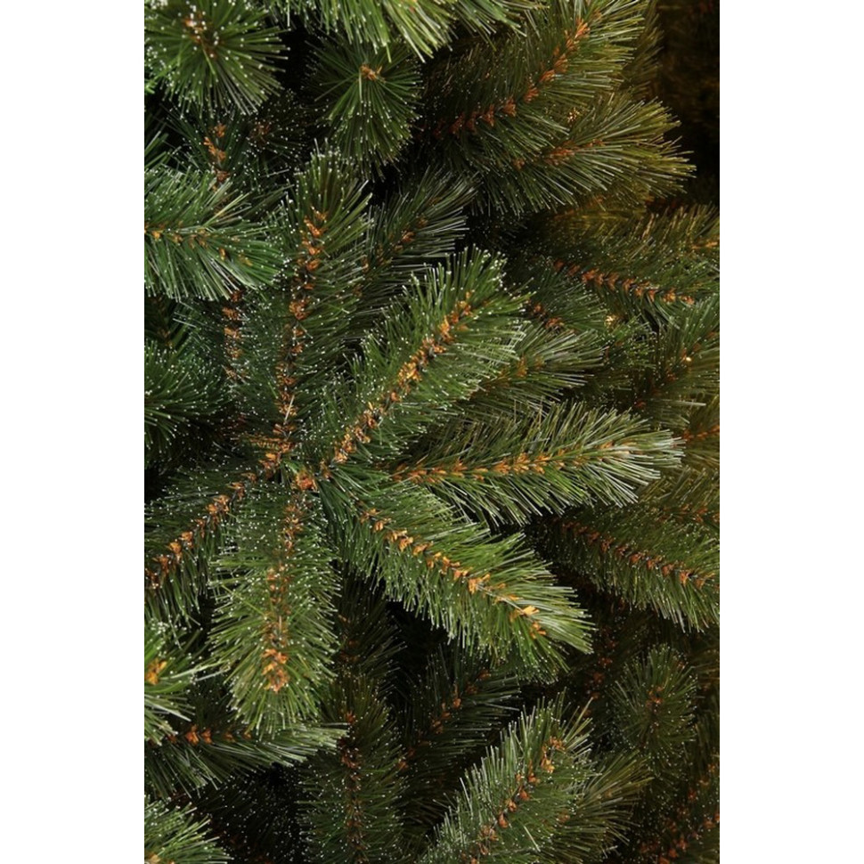 Сосна Forest frosted Triumph Tree 8711473151541, 3,65 м, зелена з інеєм