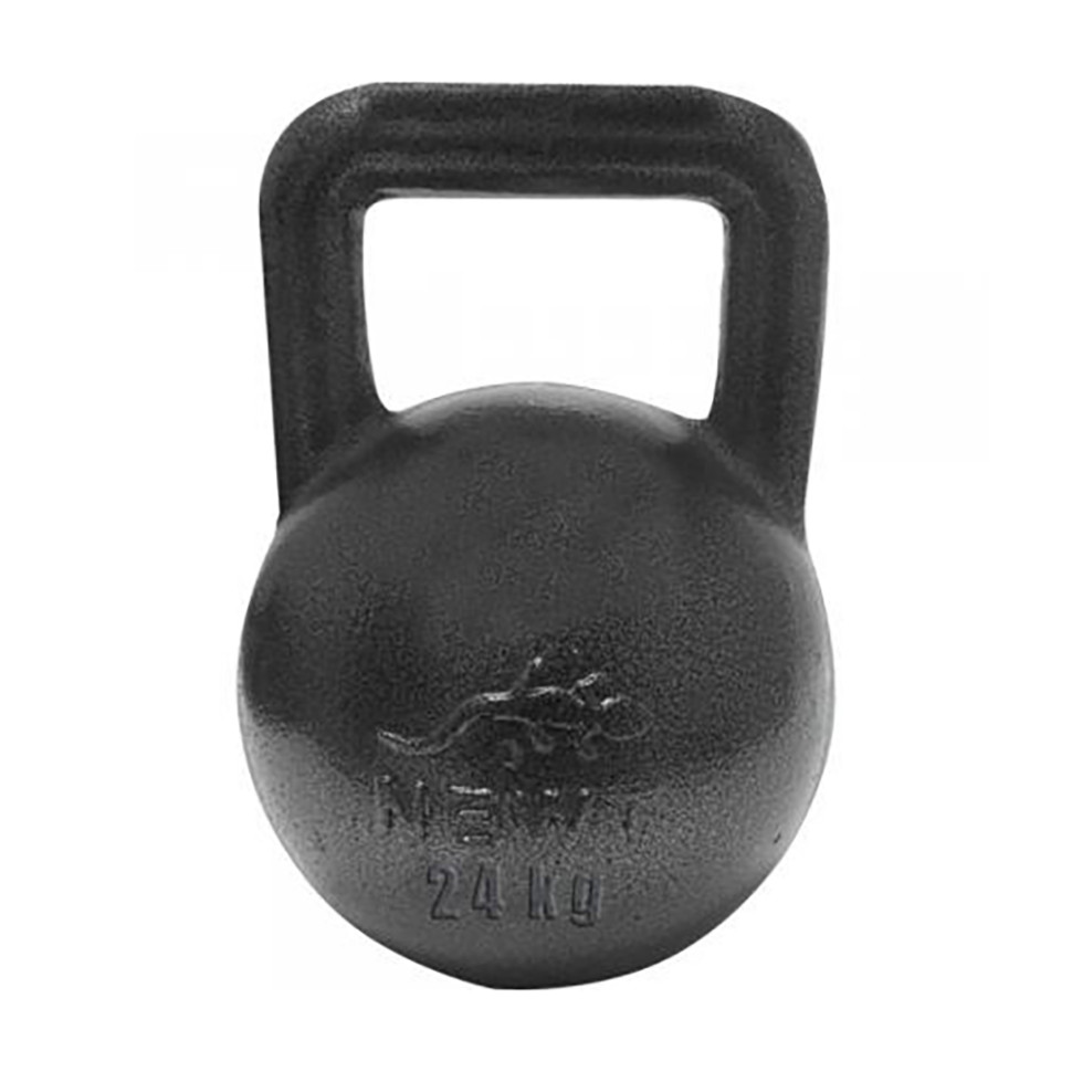 Гиря чугунная Newt NE100-2400, 24 кг
