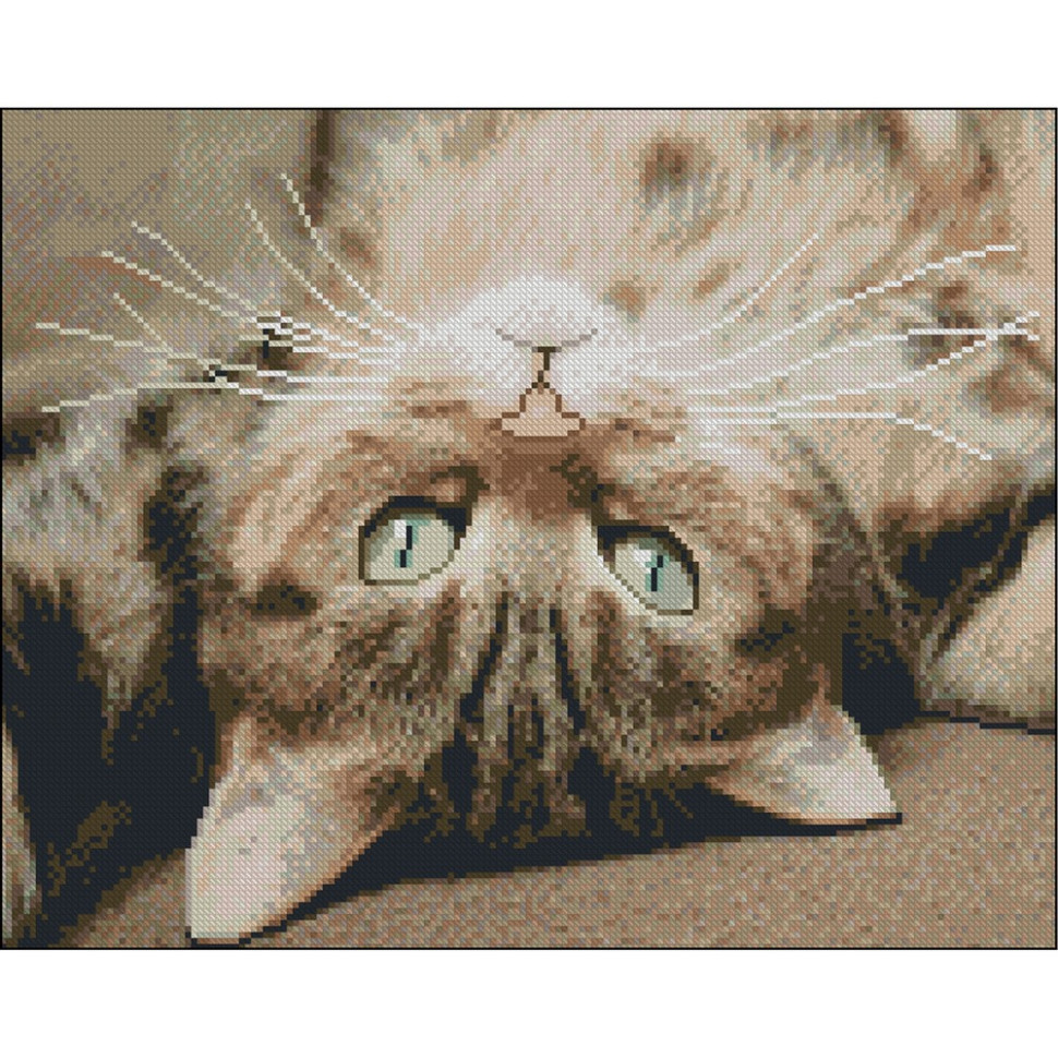 Алмазна мозаїка без підрамника 