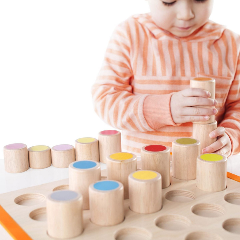Деревянный сортер Manipulatives 