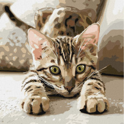 Картина по номерам "Игривый котенок" &copy;art_selena_ua Идейка KHO6877, 40х40 см