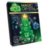 Дитячий набір для проведення дослідів "MAGIC CRYSTAL" Danko Toys ОМС-01