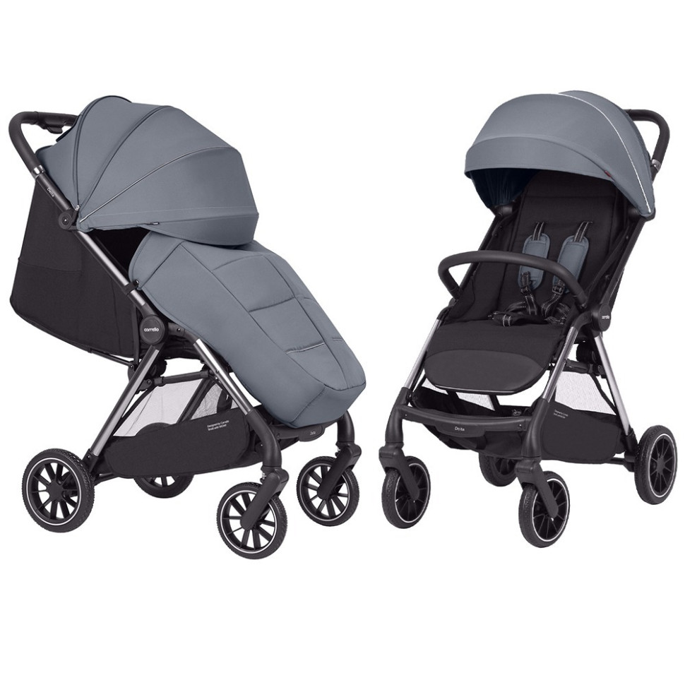 Прогулочная коляска Delta CRL-5517 CARRELLO CRL-5517 Flint Grey 2024