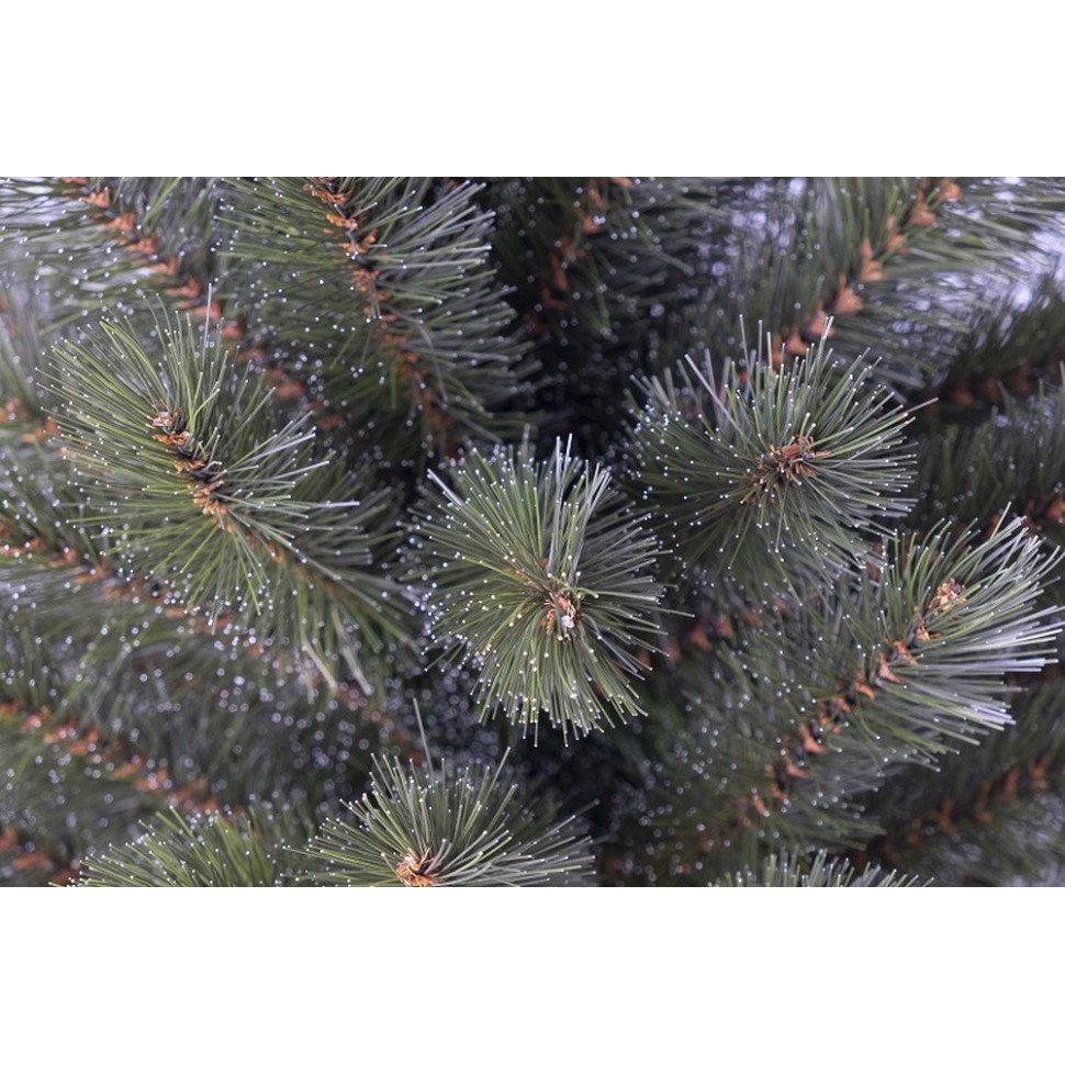 Сосна Forest Frosted Triumph Tree 8712799955837, 45 см, з інеєм