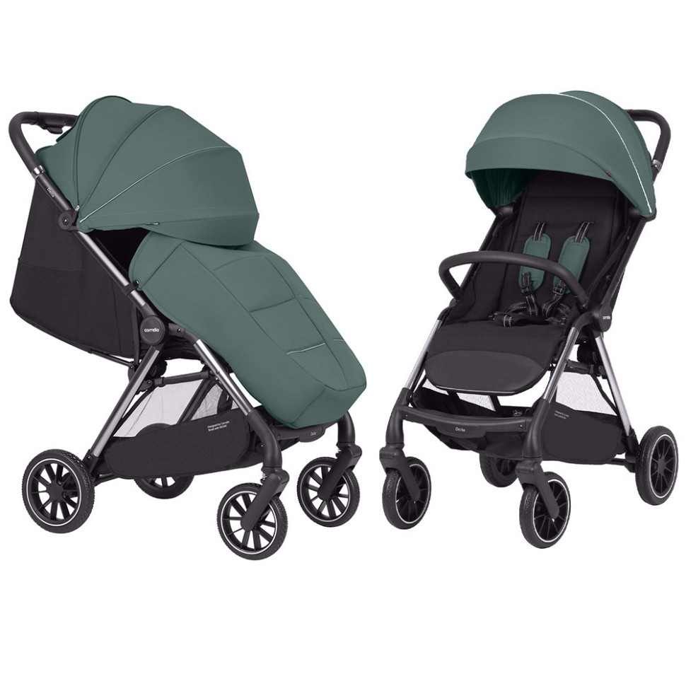 Прогулочная коляска Delta CRL-5517 CARRELLO CRL-5517 Jungle Green 202