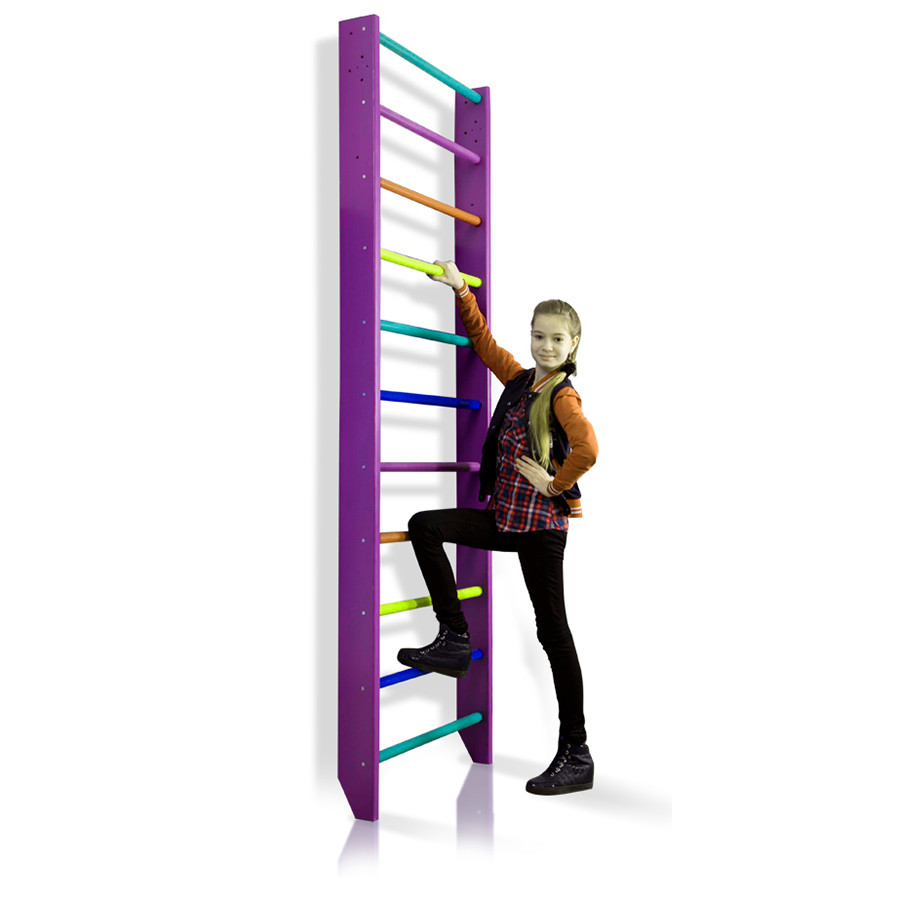 Шведська стінка SportBaby 0-220 (purple) до 120 кг