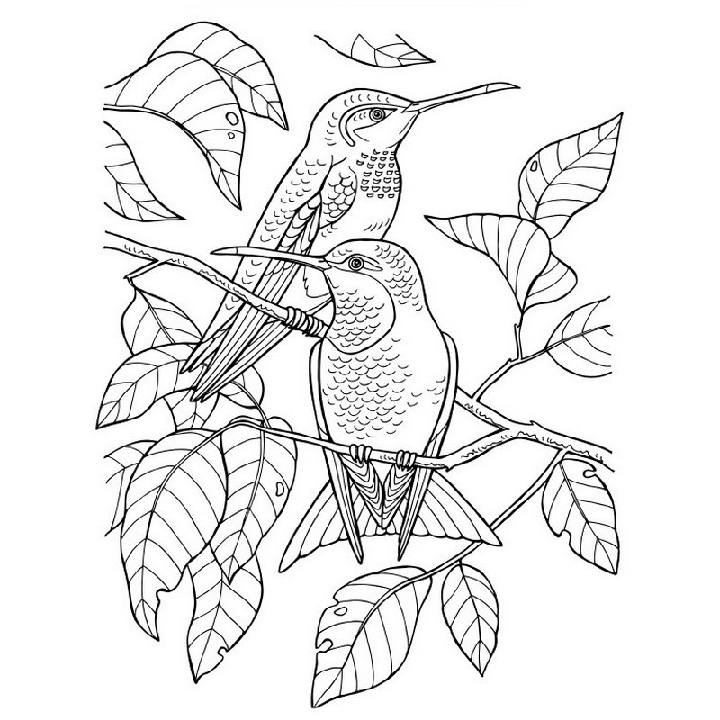 Велика книга розмальовок 