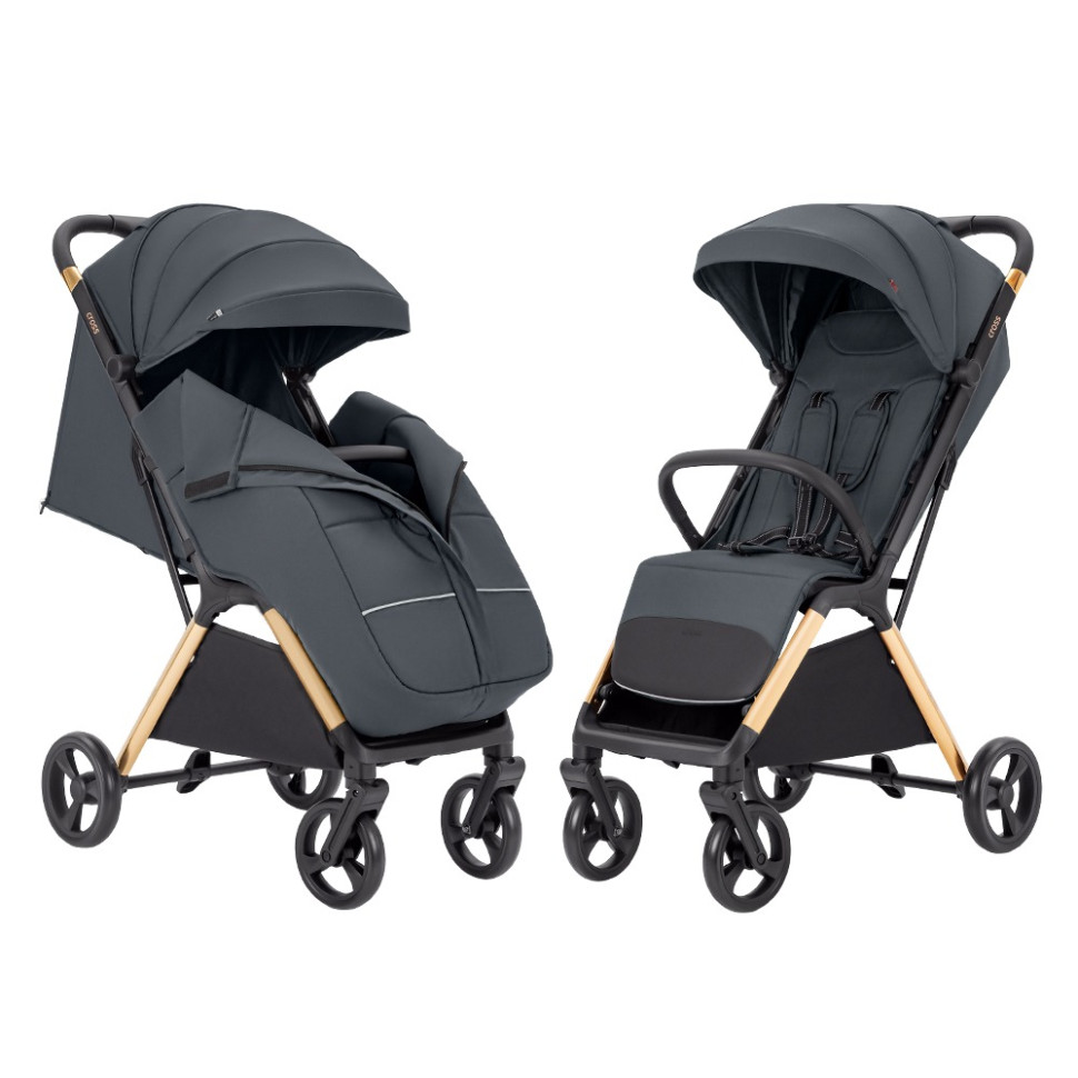 Дитяча прогулянкова коляска Cross Carrello CRL-5523 Eagle Grey 