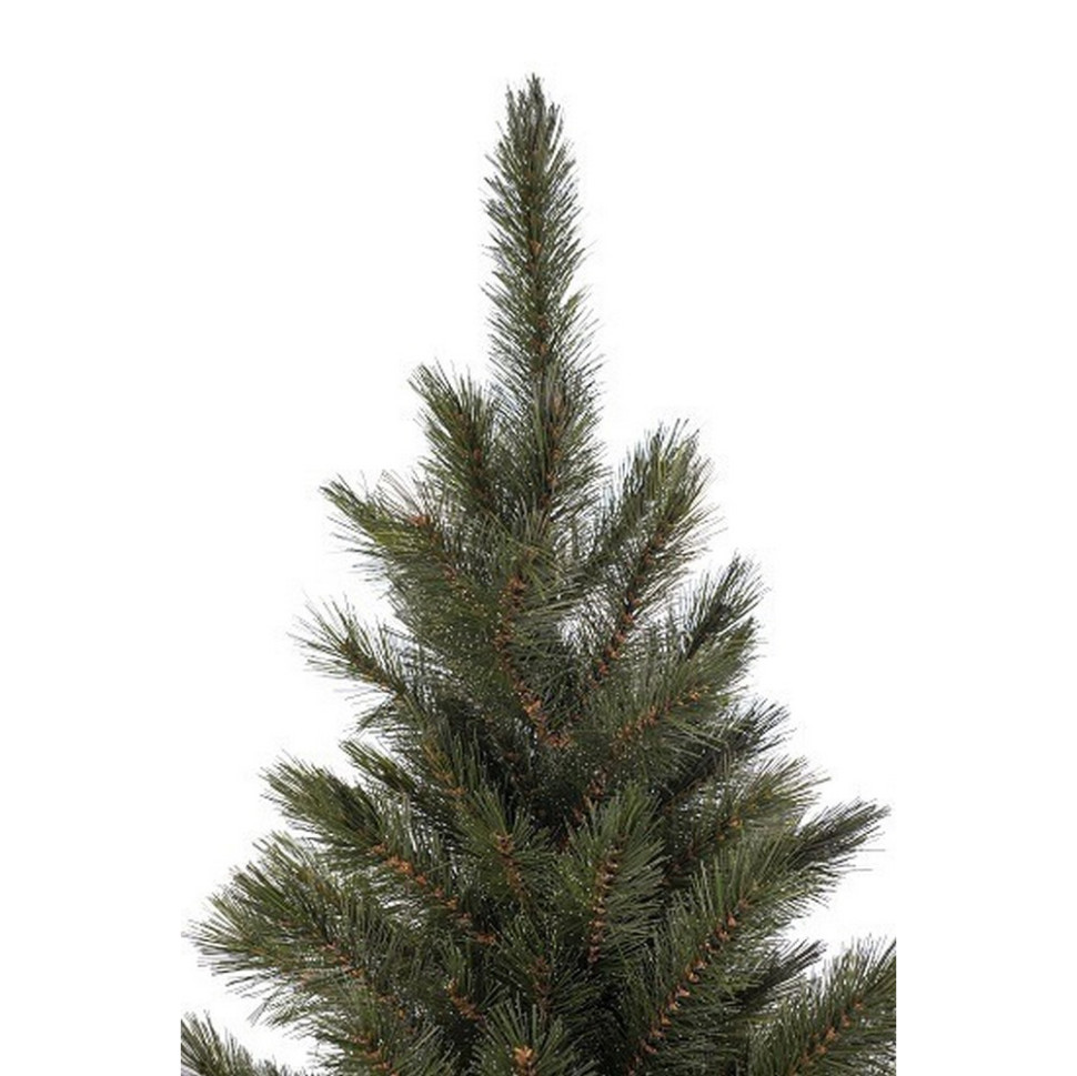 Сосна Forest Frosted Triumph Tree 8717669551874, 60 см, з інеєм