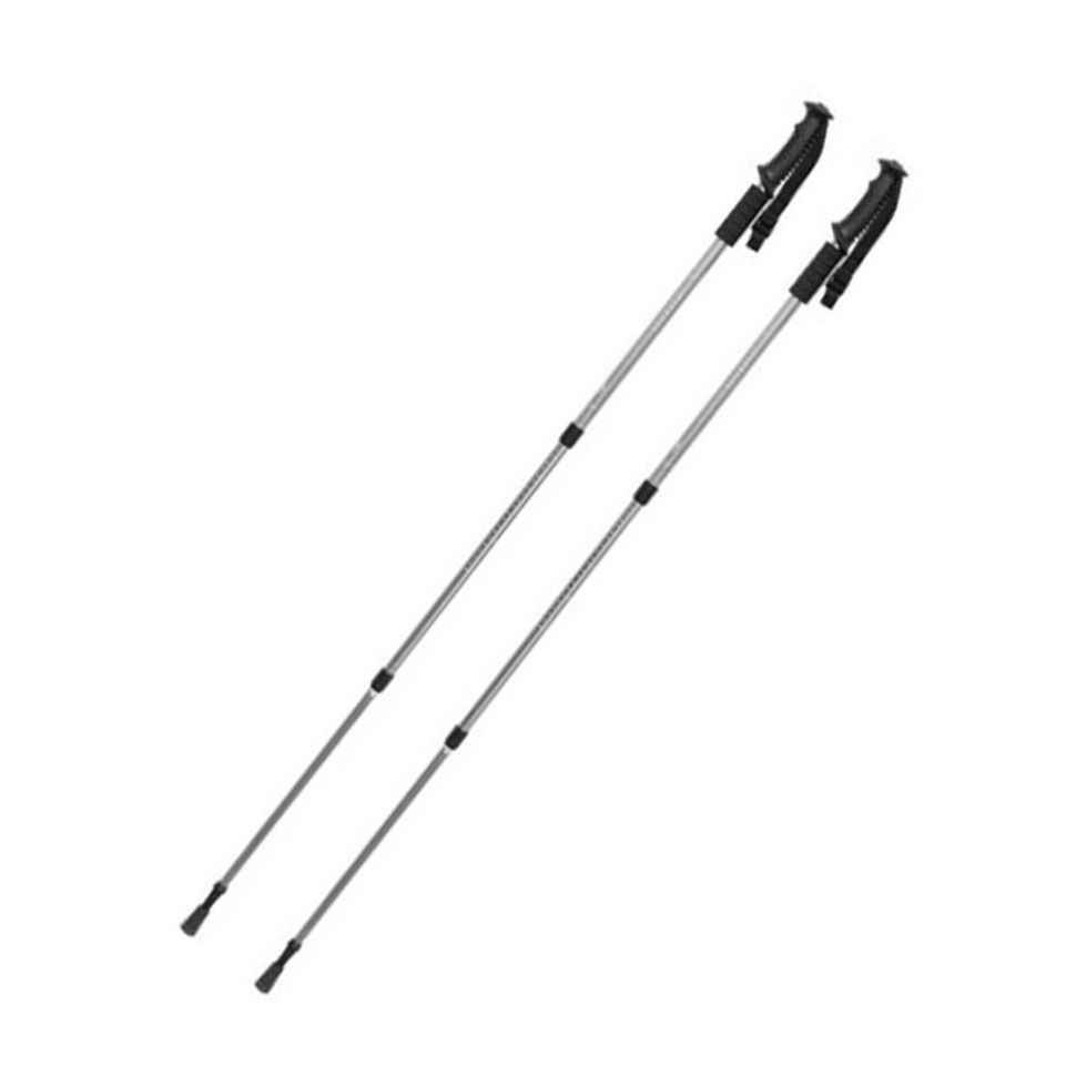 Палиця для скандинавської ходьби Energia EasyFit EF-3924-GY, сіра