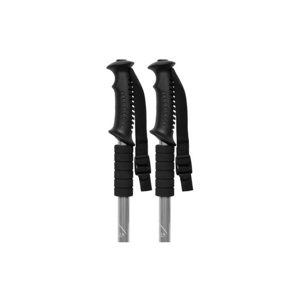 Палиця для скандинавської ходьби Energia EasyFit EF-3924-GY, сіра
