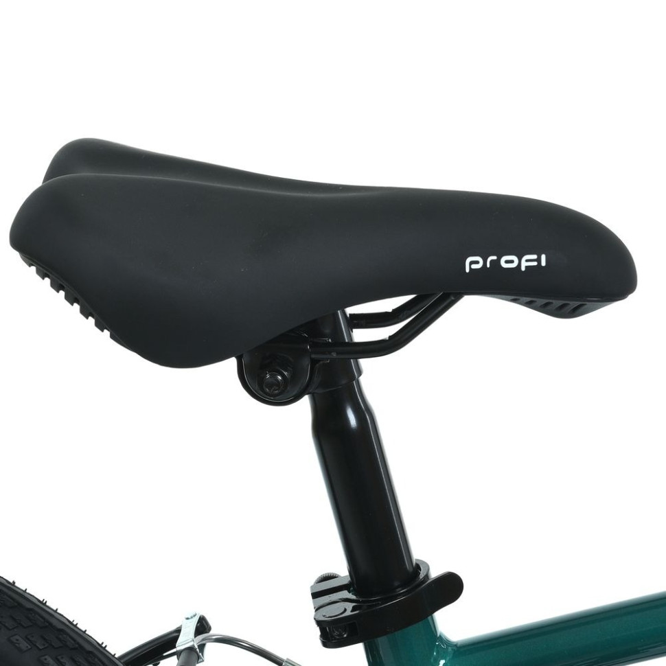 Велосипед дитячий LIGHTY PROF1 MB 20LIGHTY RAIN FOREST, колеса 20 дюймів