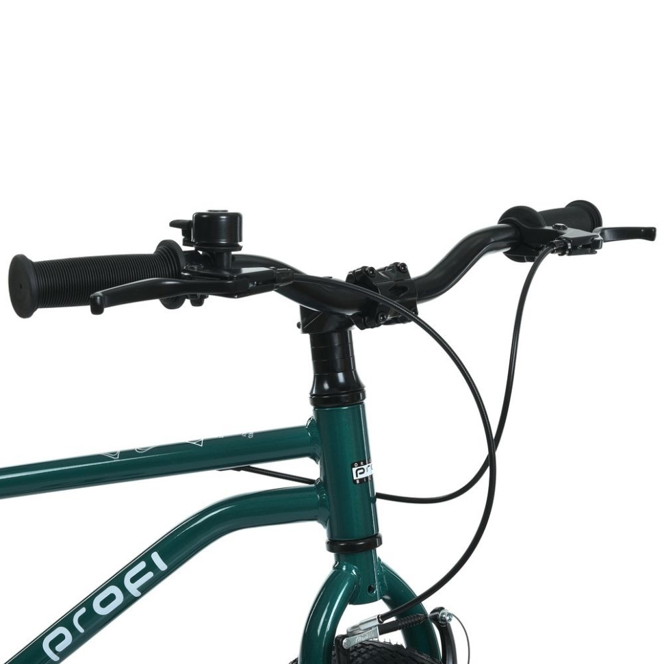 Велосипед дитячий LIGHTY PROF1 MB 20LIGHTY RAIN FOREST, колеса 20 дюймів
