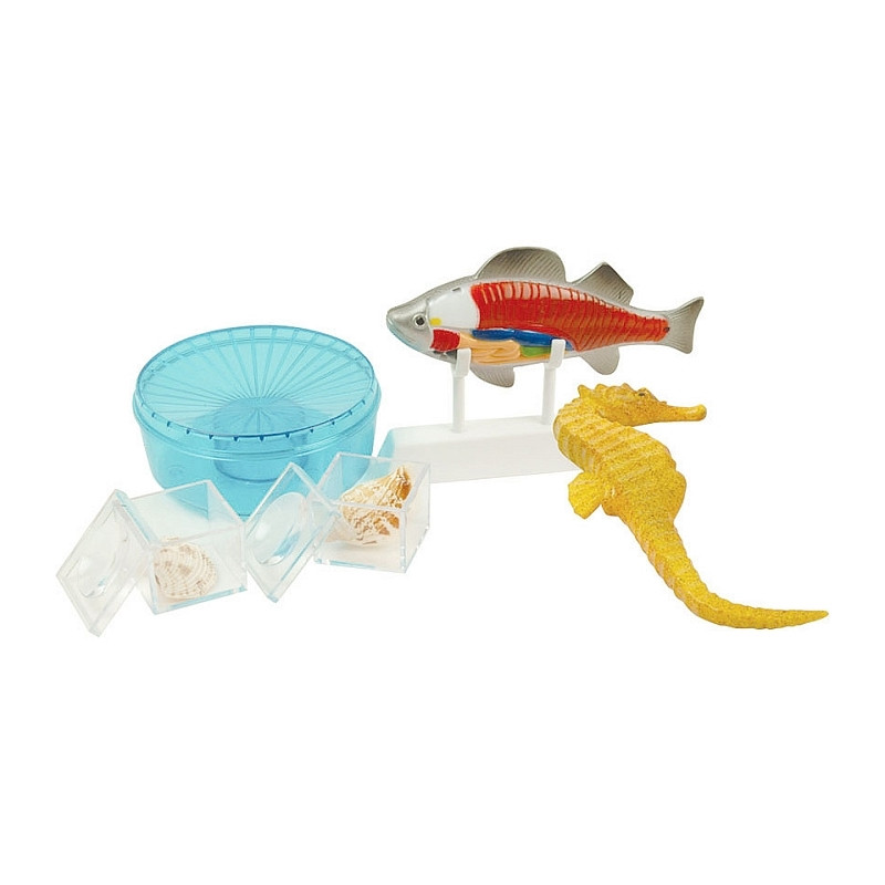 Набір для дослідів та експериментів