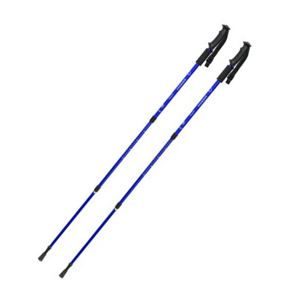 Палиця для скандинавської ходьби Energia EasyFit EF-3924-BL, синя