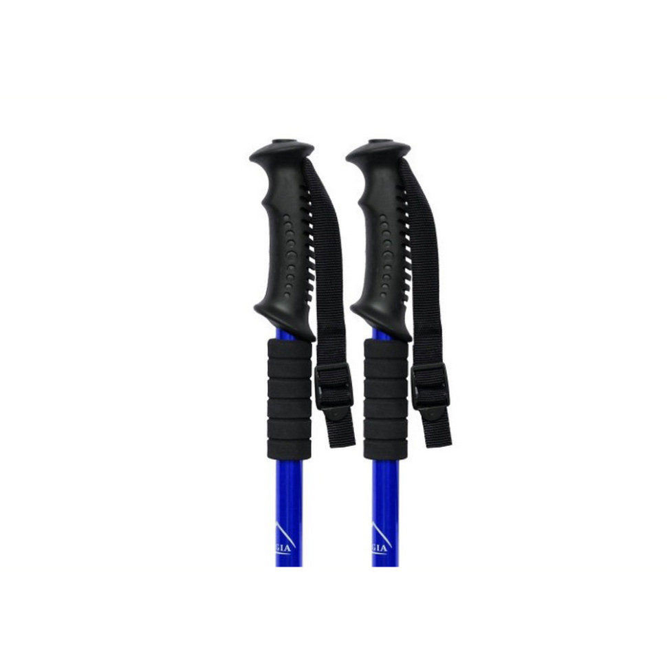 Палиця для скандинавської ходьби Energia EasyFit EF-3924-BL, синя