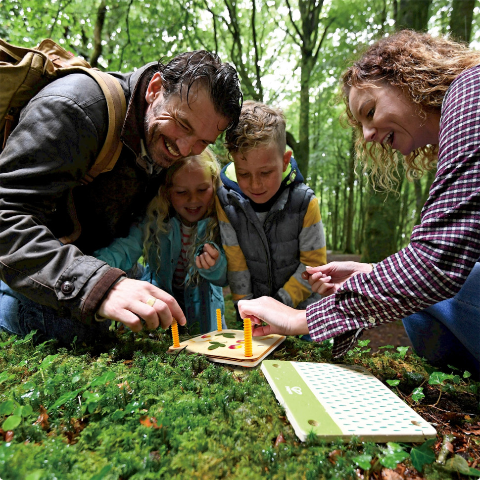 Прес для квітів Гербарій із фарбами Hape E5574 Nature Fun