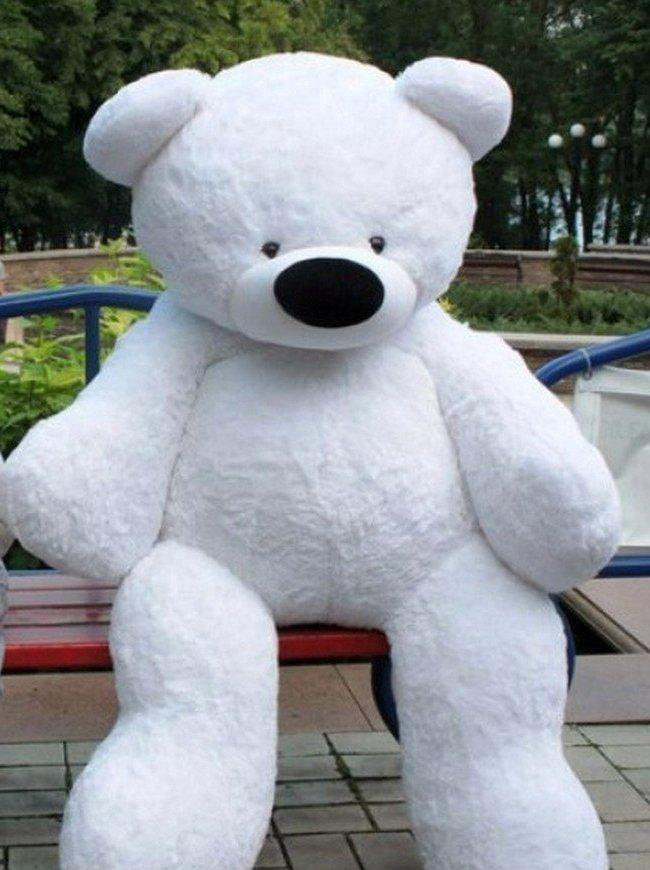 М'яка іграшка Alina Toys великий плюшевий ведмедик Бублик 200 см білий 5784728ALN