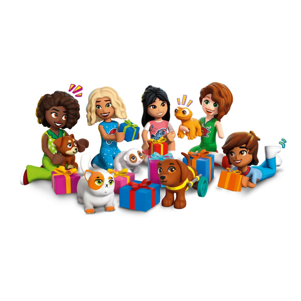 Конструктор Advent Friends 2025 LEGO 42668, 237 деталей