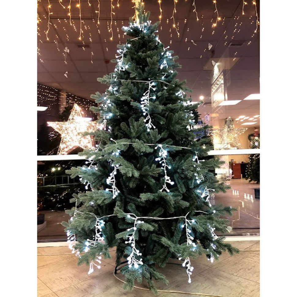 Ялина Abies Nordmann de Luxe Triumph Tree 8711473288629, 215 см, блакитна