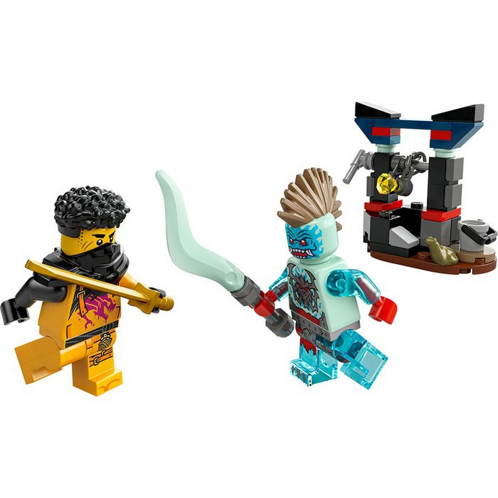 Конструктор Ninjago Арін проти Дракона: Битва LEGO 30700LG 48 деталей