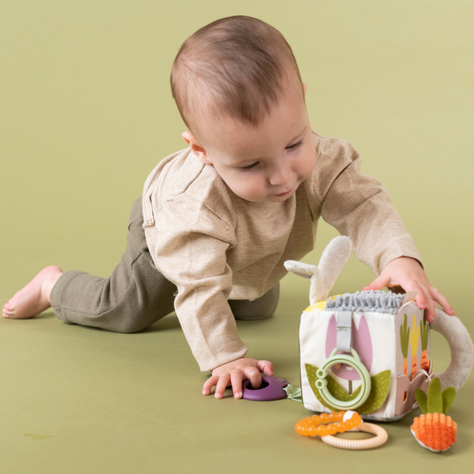 Розвиваюча іграшка-кубик ЇЖАК І БУРЯЧОК Taf Toys 13095 колекції 