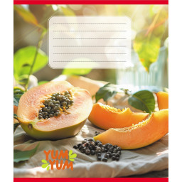 Тетрадь ученическая "Фрукты" Leader 036-580143L-5 в линию, 36 листов 