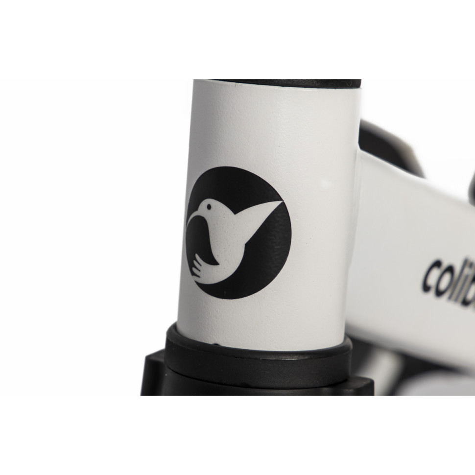 Велосипед дитячий TREMIX Blank Colibro CT-42-02 до 25 кг