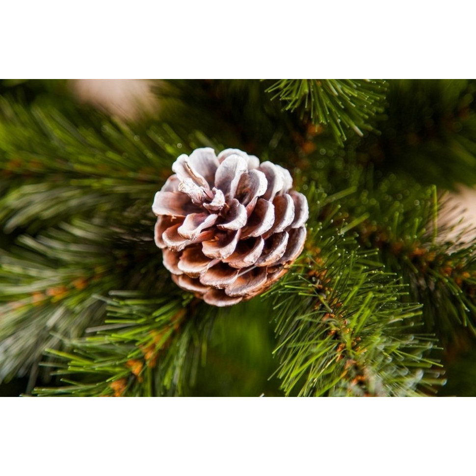 Сосна Pittsburgh Triumph Tree 8718861280357, 2,15 м. зелена з ефектом покриття інеєм і шишками