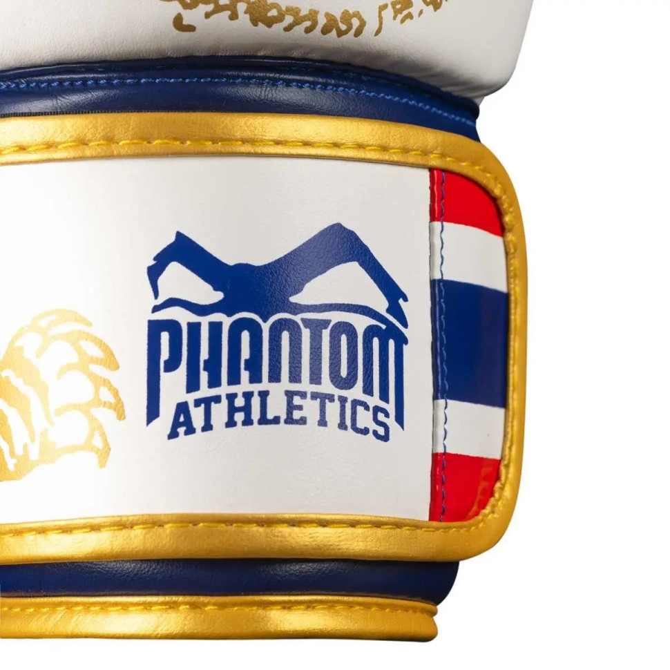 Боксерские перчатки Muay Thai Limited Edition Phantom PHBG2590-10 Gold 10 унций (бинты в подарок)