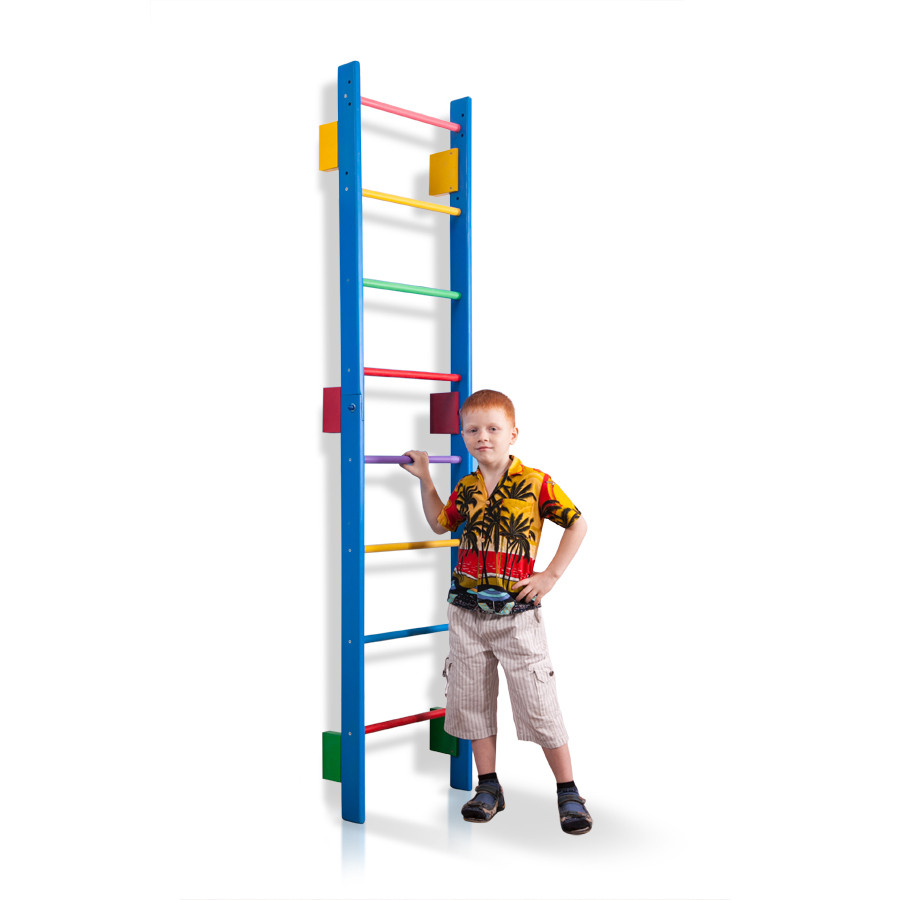 Шведська стінка SportBaby Teenager-0-220 (blue) до 80 кг