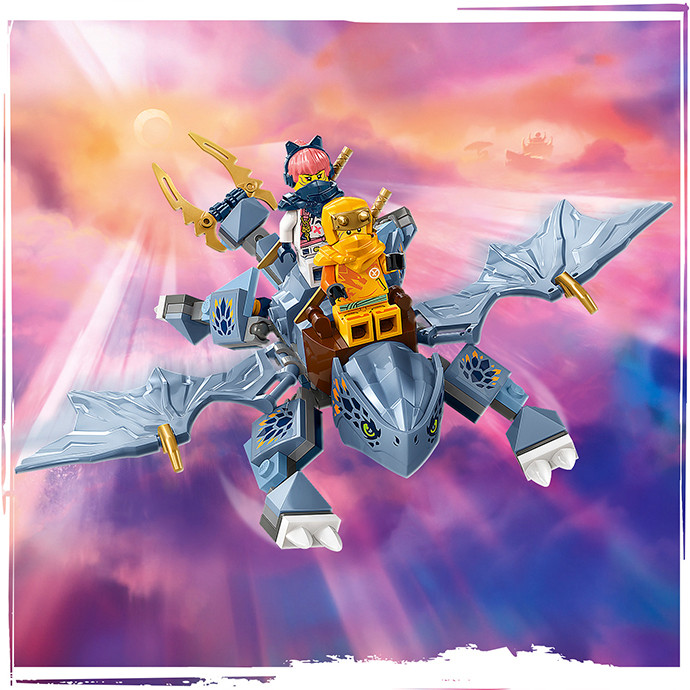 Конструктор LEGO Ninjago Молодий дракон Рію 71810, 132 деталі 