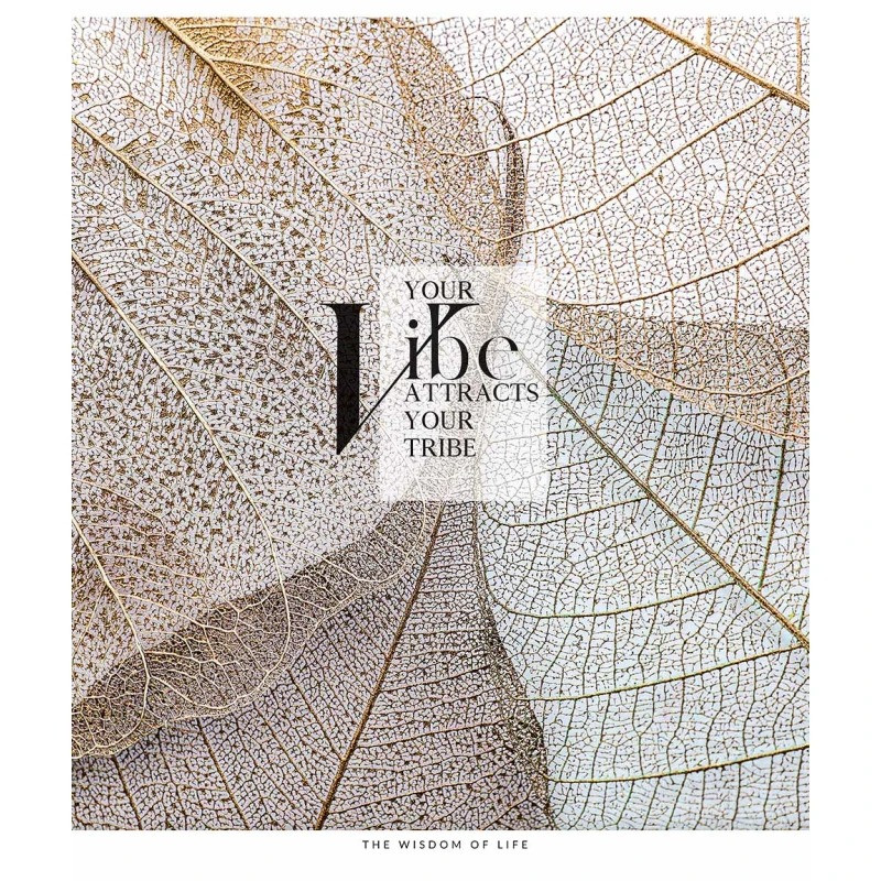 Тетрадь общая «The Wisdom of Life» Школярик 080-3164K-1 в клеточку, 80 листов