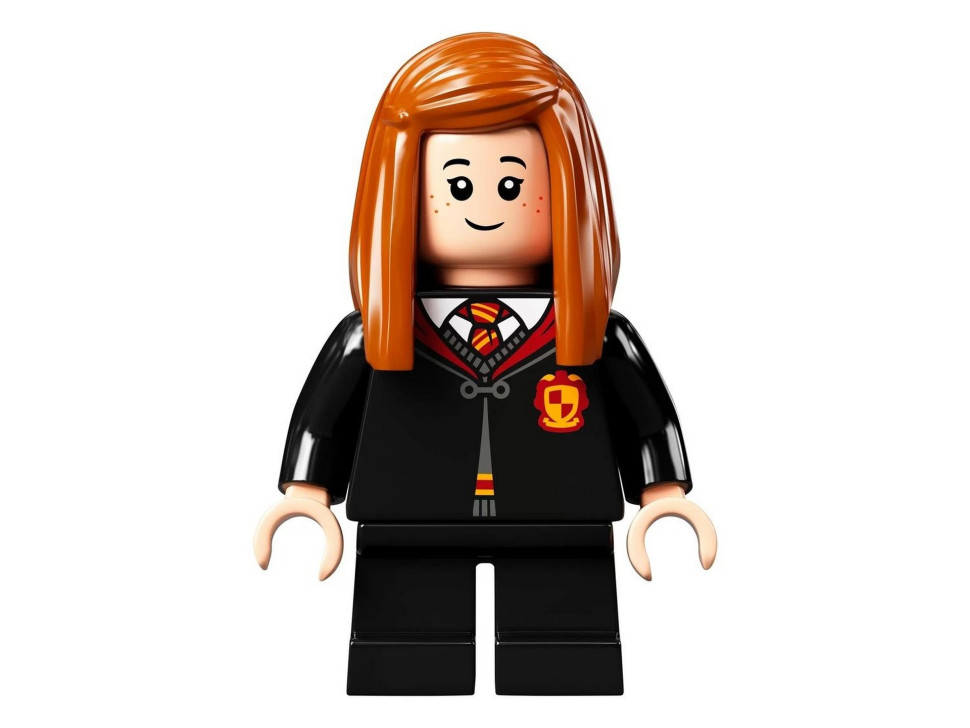 Конструктор LEGO Harry Potter Хогвартс: Тайная комната 76389
