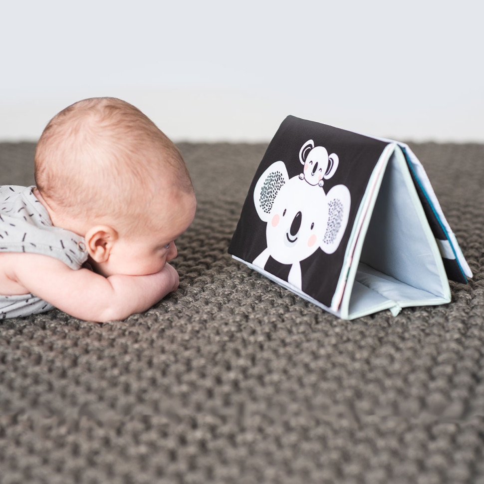 Розвиваюча книжка-розкладачка Пригоди Коали Кіммі Taf Toys 12395 з гризунком