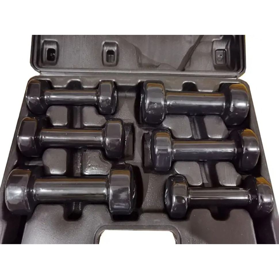 Набор гантелей PowerPlay PP_4121_9kg, 9 кг, в кейсе