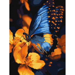Картина по номерам "Мерцание крыльев" Идейка KHO6731, 30х40 см
