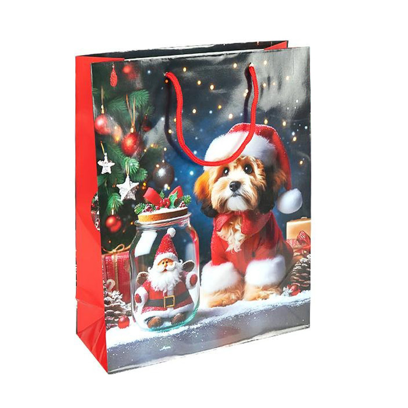 Пакет подарунковий 