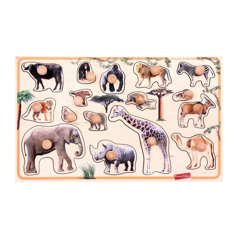 Детский деревянный сортер 