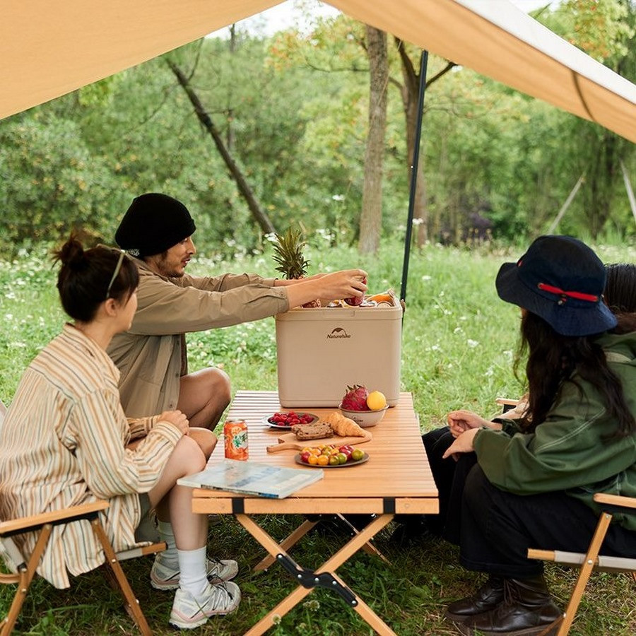 Туристичний холодильник CNK2300BS011 Naturehike 6976023925672, 13 л, бежевий