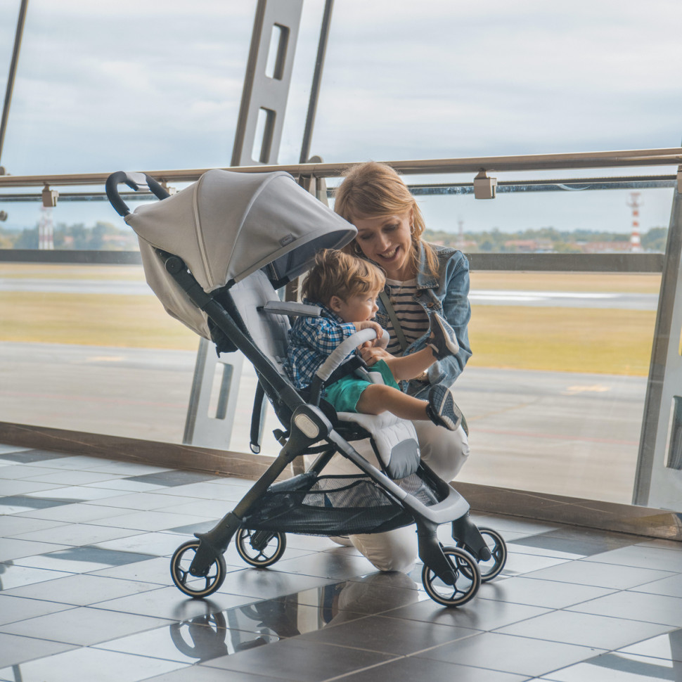 Прогулочная коляска WE Stroller Chicco 79885.19 до 15 кг