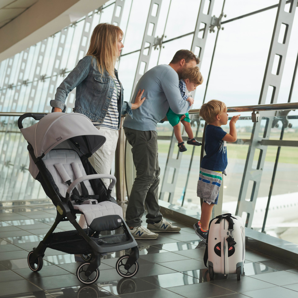 Прогулочная коляска WE Stroller Chicco 79885.19 до 15 кг