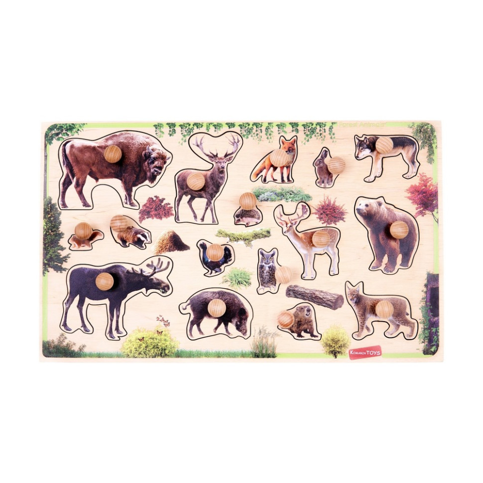 Детский деревянный сортер 