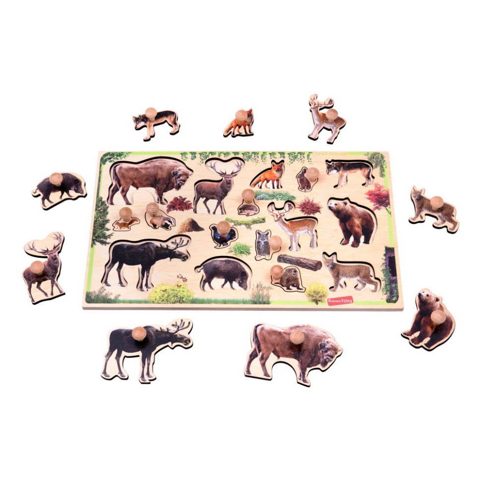 Детский деревянный сортер 