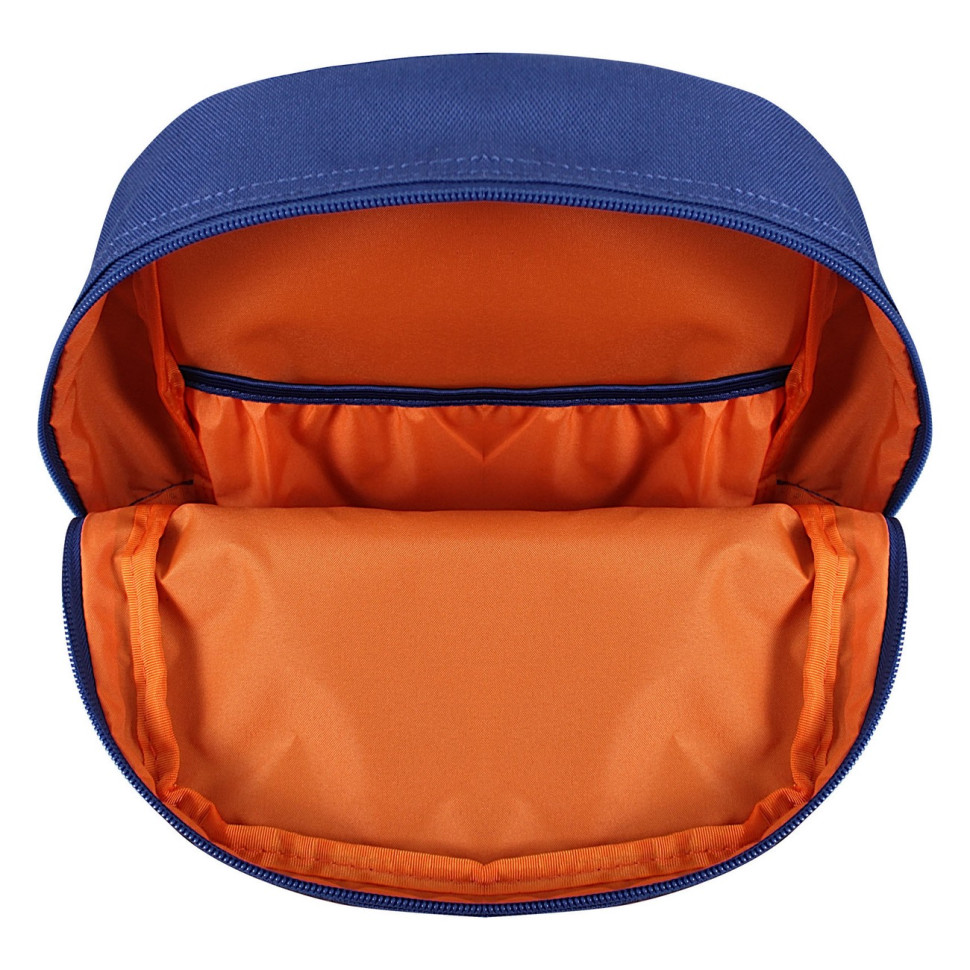 Рюкзак молодежный mini Bagland 648911661 объем 8 л