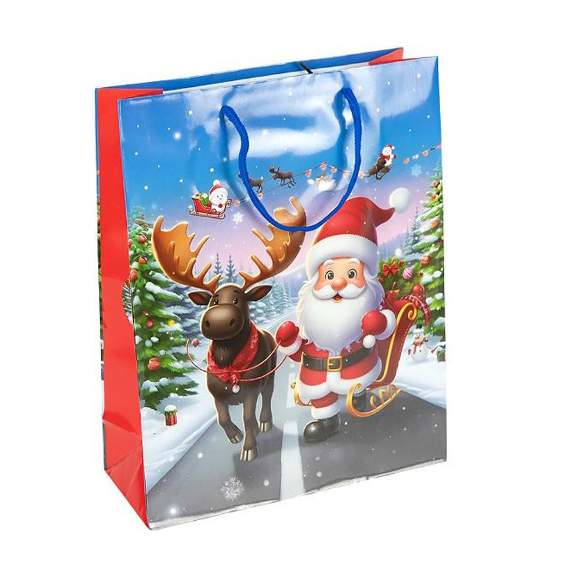 Пакет подарочный 