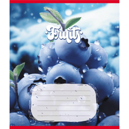 Тетрадь ученическая "Фрукты" Leader 012-500028K-2 в клетку, 12 листов (959050)