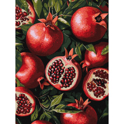 Картина по номерам "Гранат в разрезе" &copy;art_selena_ua Идейка KHO5731, 30х40 см