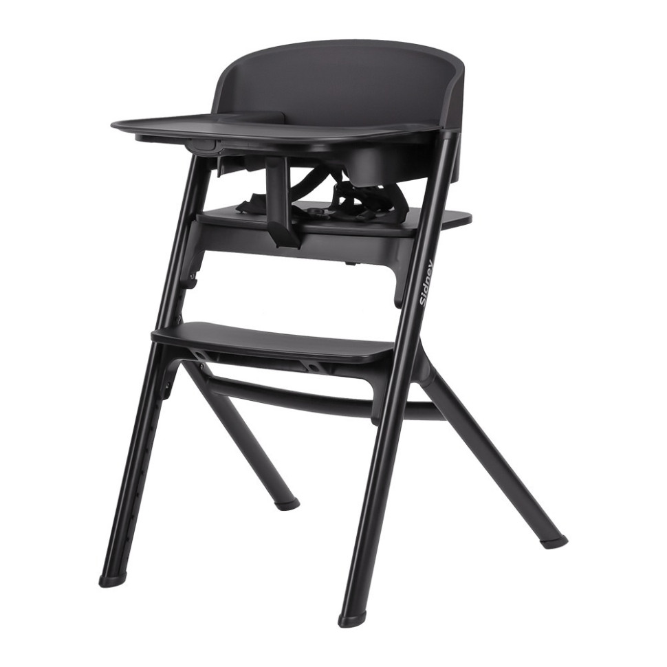Стул для кормления Sidney CARRELLO CRL-8405 Space Black