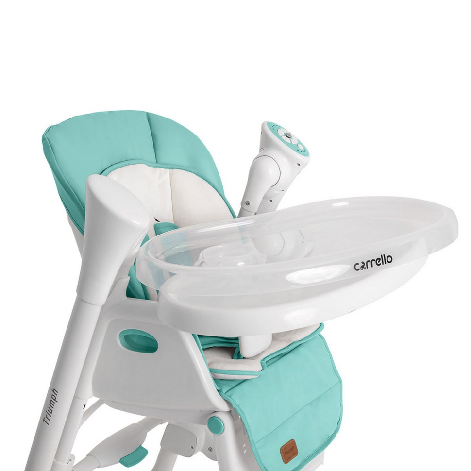 Дитячий стільчик-гойдалка CARRELLO Triumph CRL-10302 Mint Green